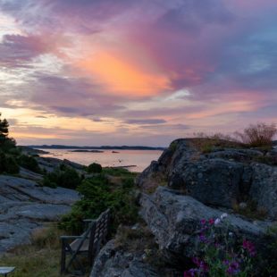 rasmus-jarborg-LBlPbgpLoZw-unsplash